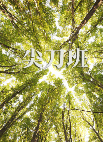 午夜影皖精品av在线播放